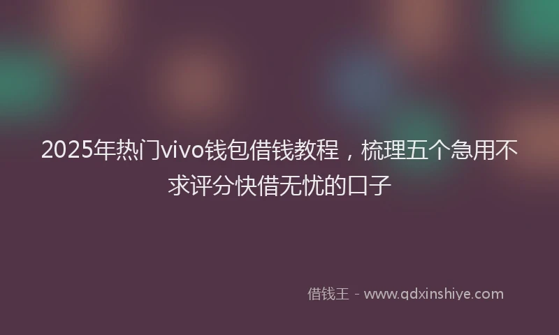 2025年热门vivo钱包借钱教程，梳理五个急用不求评分快借无忧的口子