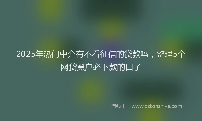 2025年热门中介有不看征信的贷款吗，整理5个网贷黑户必下款的口子