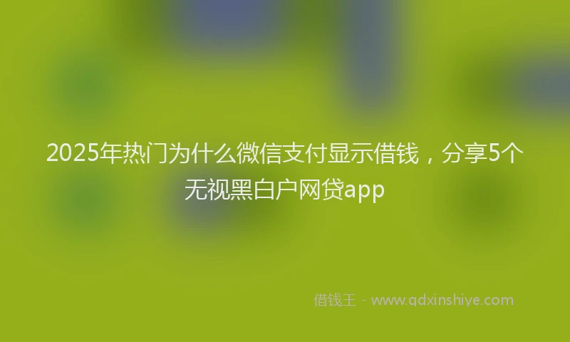 2025年热门为什么微信支付显示借钱，分享5个无视黑白户网贷app