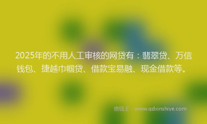 2025年的不用人工审核的网贷有：翡翠贷、万信钱包、捷越巾帼贷、借款宝易融、现金借款等。
