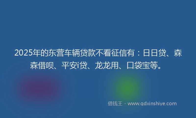 2025年的东营车辆贷款不看征信有：日日贷、森森借呗、平安i贷、龙龙用、口袋宝等。