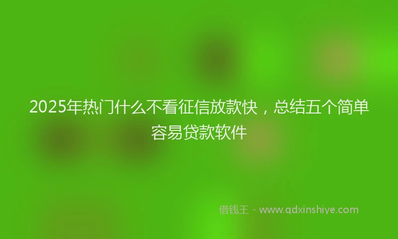 2025年热门什么不看征信放款快，总结五个简单容易贷款软件