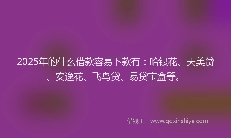 2025年的什么借款容易下款有：哈银花、天美贷、安逸花、飞鸟贷、易贷宝盒等。