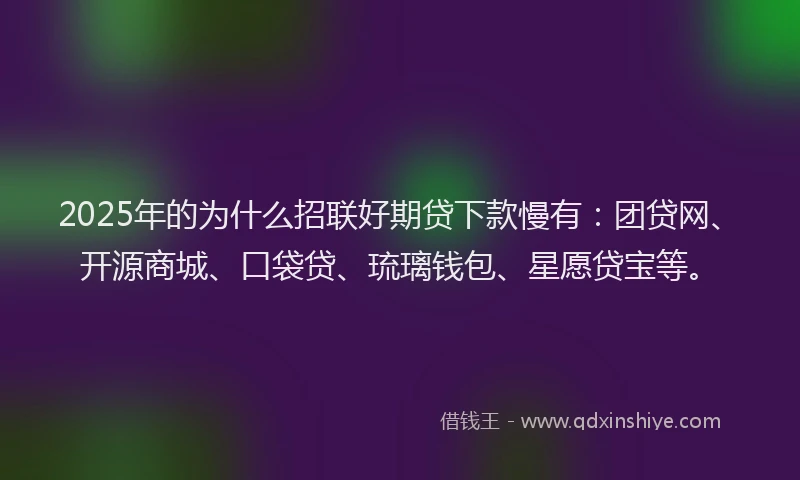2025年的为什么招联好期贷下款慢有：团贷网、开源商城、口袋贷、琉璃钱包、星愿贷宝等。