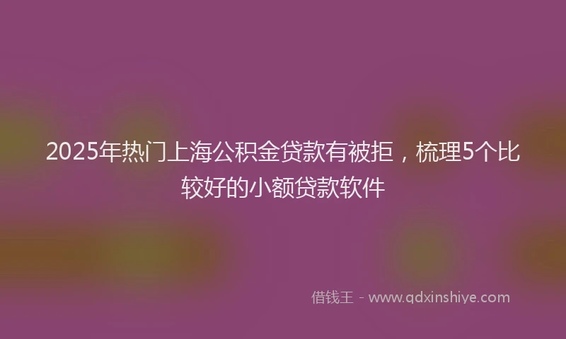 2025年热门上海公积金贷款有被拒，梳理5个比较好的小额贷款软件