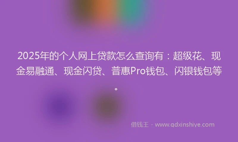 2025年的个人网上贷款怎么查询有：超级花、现金易融通、现金闪贷、普惠Pro钱包、闪银钱包等。