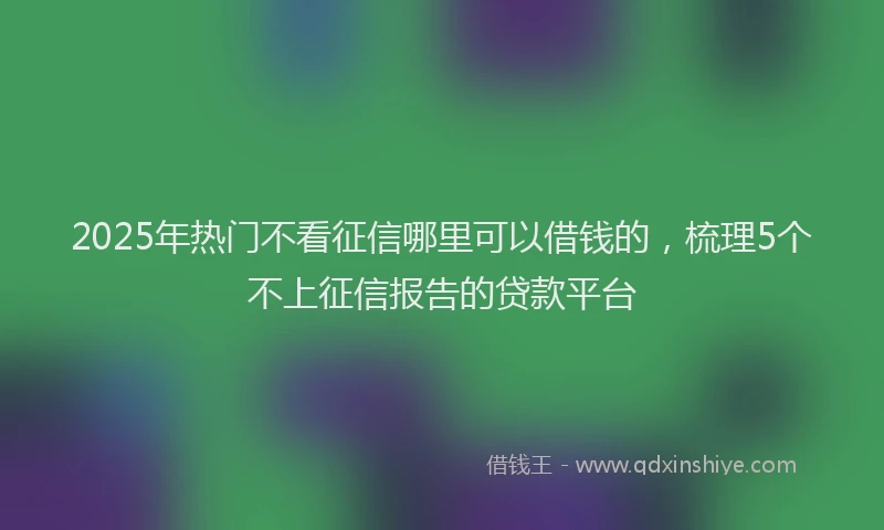 2025年热门不看征信哪里可以借钱的，梳理5个不上征信报告的贷款平台