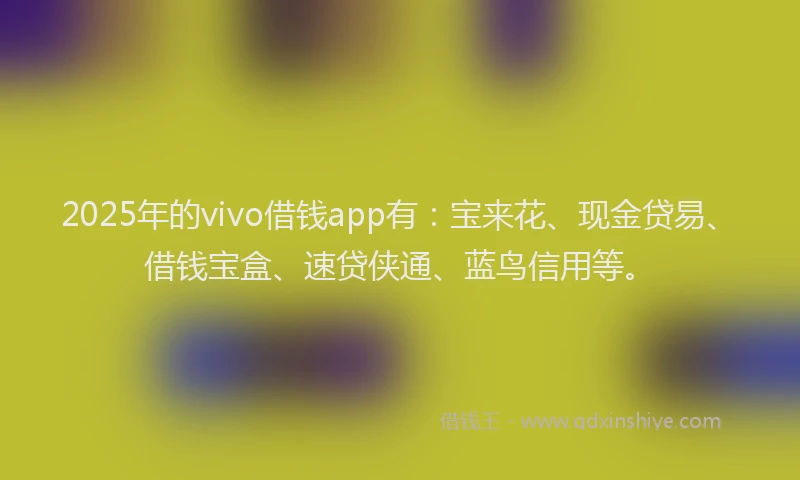 2025年的vivo借钱app有：宝来花、现金贷易、借钱宝盒、速贷侠通、蓝鸟信用等。