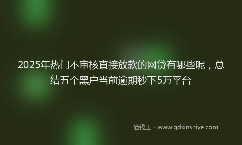 2025年热门不审核直接放款的网贷有哪些呢，总结五个黑户当前逾期秒下5万平台