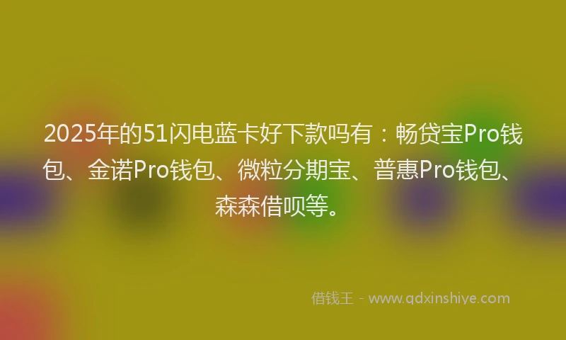2025年的51闪电蓝卡好下款吗有：畅贷宝Pro钱包、金诺Pro钱包、微粒分期宝、普惠Pro钱包、森森借呗等。