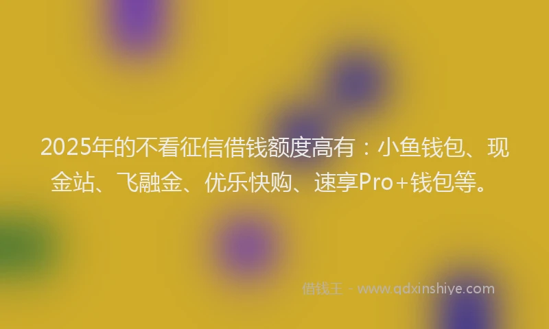 2025年的不看征信借钱额度高有：小鱼钱包、现金站、飞融金、优乐快购、速享Pro+钱包等。