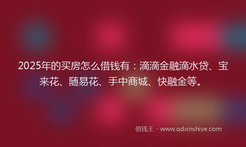 2025年的买房怎么借钱有：滴滴金融滴水贷、宝来花、随易花、手中商城、快融金等。