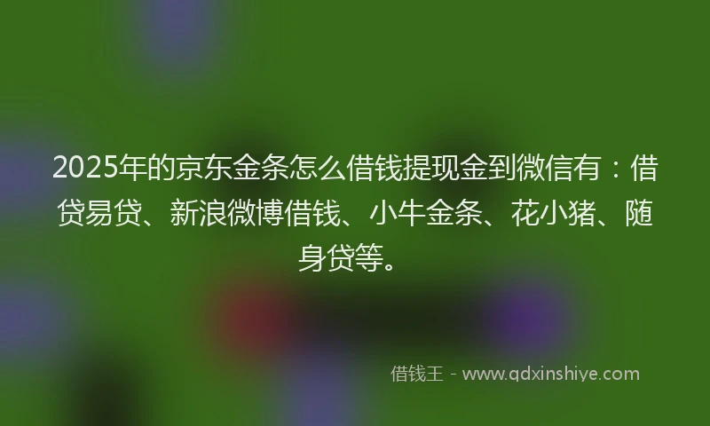 2025年的京东金条怎么借钱提现金到微信有：借贷易贷、新浪微博借钱、小牛金条、花小猪、随身贷等。