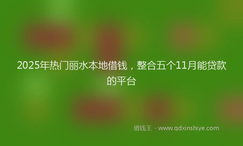2025年热门丽水本地借钱，整合五个11月能贷款的平台