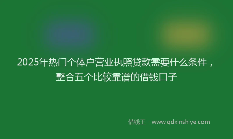 2025年热门个体户营业执照贷款需要什么条件，整合五个比较靠谱的借钱口子