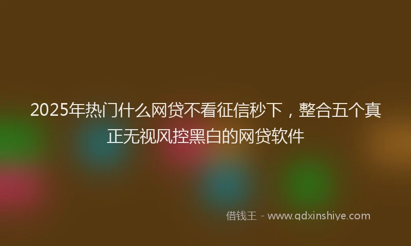 2025年热门什么网贷不看征信秒下，整合五个真正无视风控黑白的网贷软件