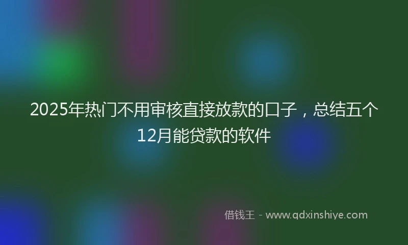 2025年热门不用审核直接放款的口子，总结五个12月能贷款的软件