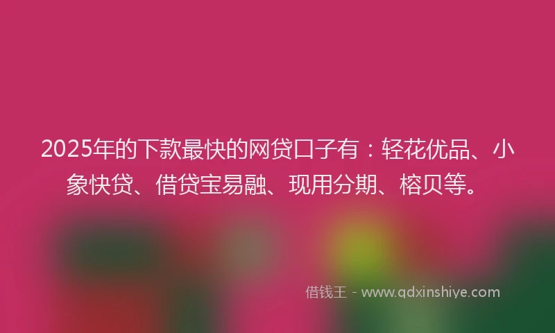 2025年的下款最快的网贷口子有：轻花优品、小象快贷、借贷宝易融、现用分期、榕贝等。