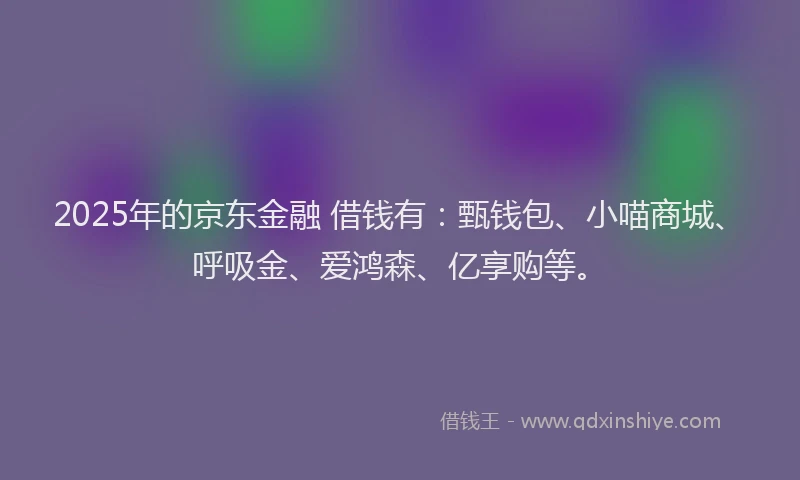 2025年的京东金融 借钱有：甄钱包、小喵商城、呼吸金、爱鸿森、亿享购等。