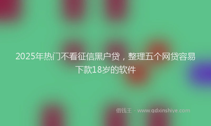 2025年热门不看征信黑户贷，整理五个网贷容易下款18岁的软件