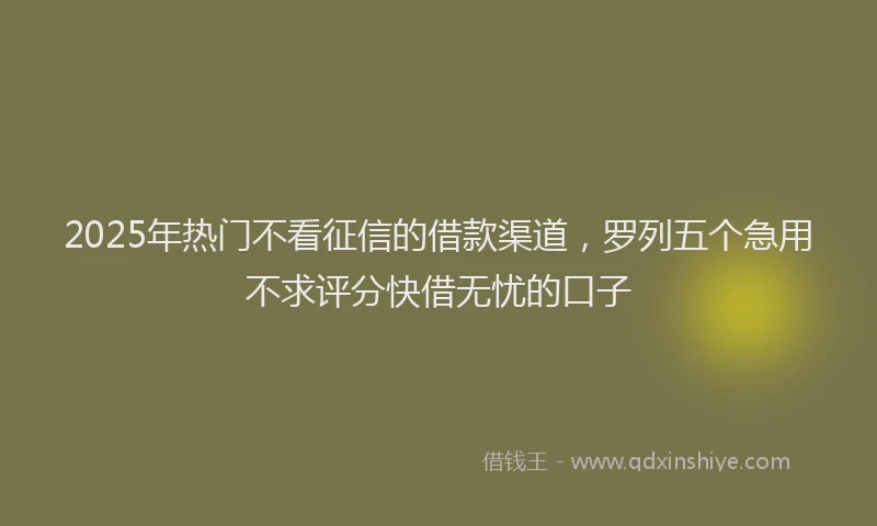 2025年热门不看征信的借款渠道，罗列五个急用不求评分快借无忧的口子