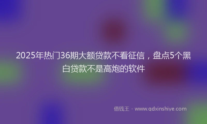 2025年热门36期大额贷款不看征信，盘点5个黑白贷款不是高炮的软件