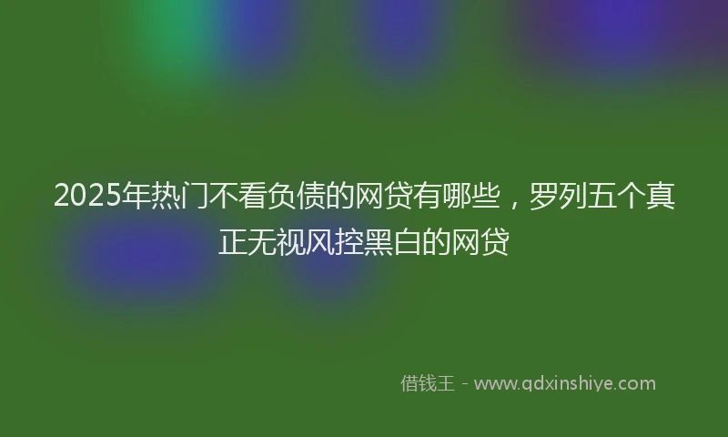 2025年热门不看负债的网贷有哪些，罗列五个真正无视风控黑白的网贷