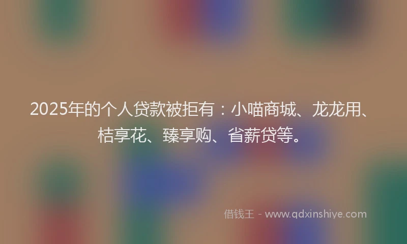 2025年的个人贷款被拒有：小喵商城、龙龙用、桔享花、臻享购、省薪贷等。