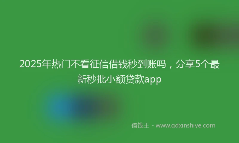 2025年热门不看征信借钱秒到账吗，分享5个最新秒批小额贷款app