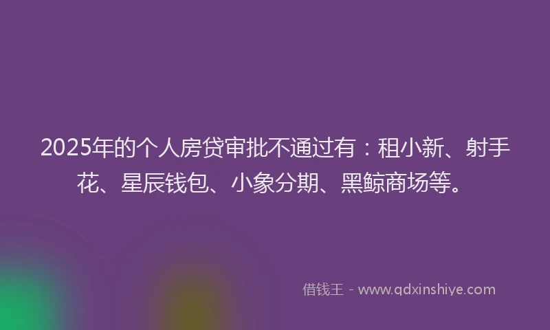 2025年的个人房贷审批不通过有：租小新、射手花、星辰钱包、小象分期、黑鲸商场等。