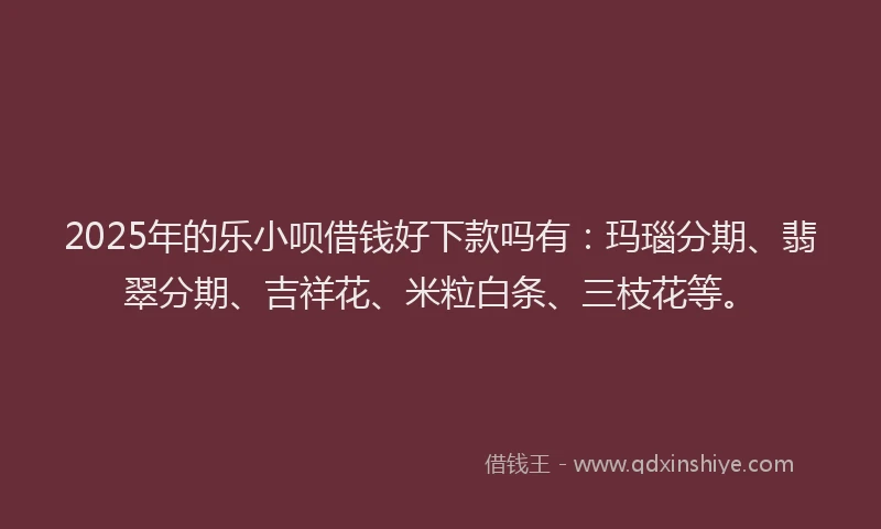 2025年的乐小呗借钱好下款吗有：玛瑙分期、翡翠分期、吉祥花、米粒白条、三枝花等。