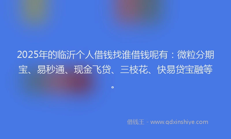 2025年的临沂个人借钱找谁借钱呢有：微粒分期宝、易秒通、现金飞贷、三枝花、快易贷宝融等。