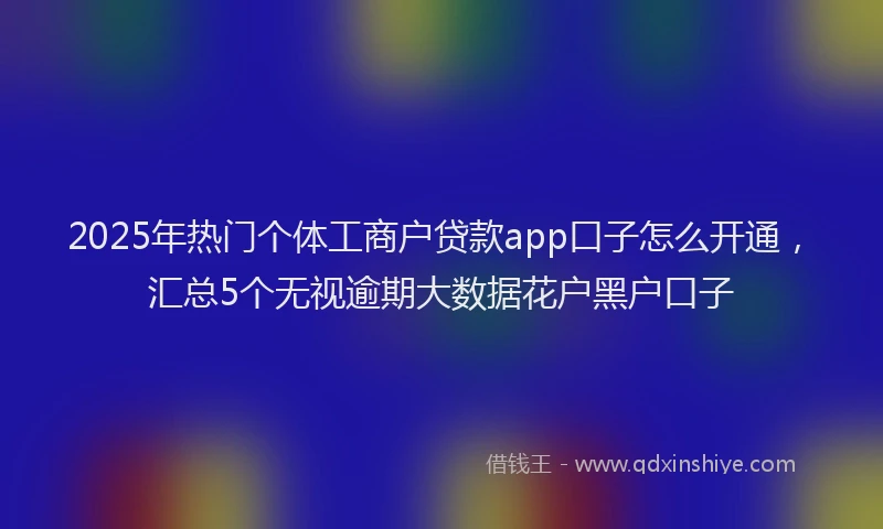 2025年热门个体工商户贷款app口子怎么开通，汇总5个无视逾期大数据花户黑户口子
