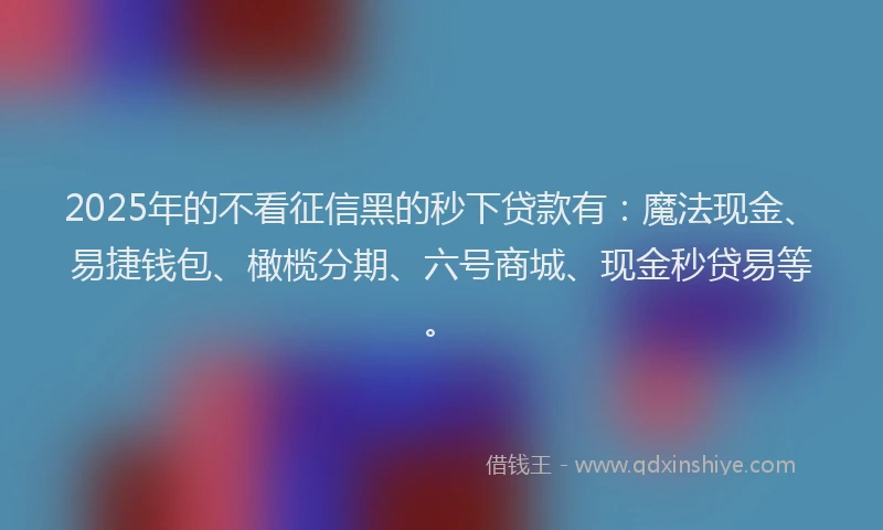 2025年的不看征信黑的秒下贷款有：魔法现金、易捷钱包、橄榄分期、六号商城、现金秒贷易等。