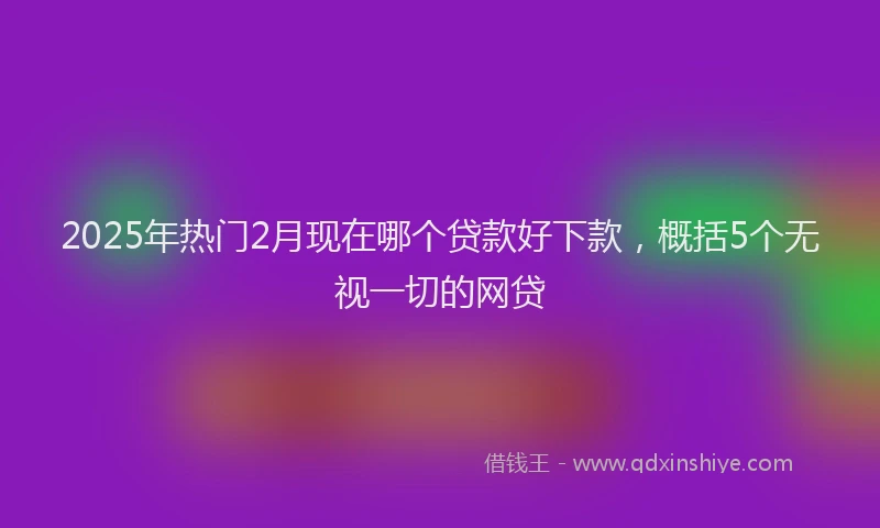 2025年热门2月现在哪个贷款好下款，概括5个无视一切的网贷