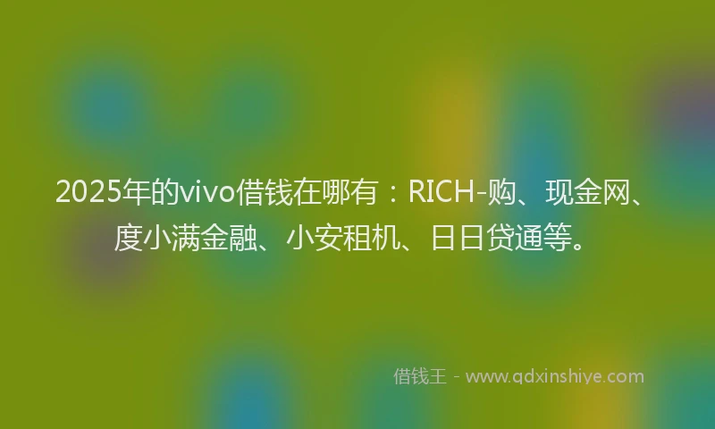 2025年的vivo借钱在哪有：RICH-购、现金网、度小满金融、小安租机、日日贷通等。