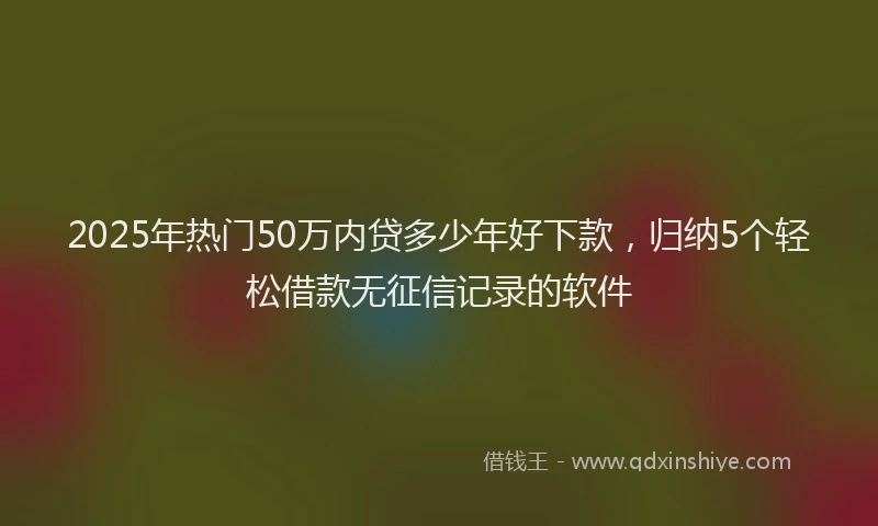 2025年热门50万内贷多少年好下款，归纳5个轻松借款无征信记录的软件