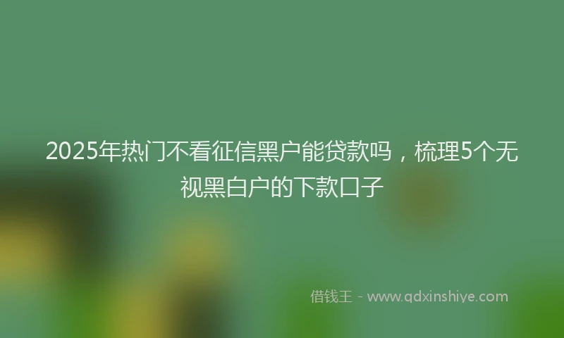 2025年热门不看征信黑户能贷款吗，梳理5个无视黑白户的下款口子