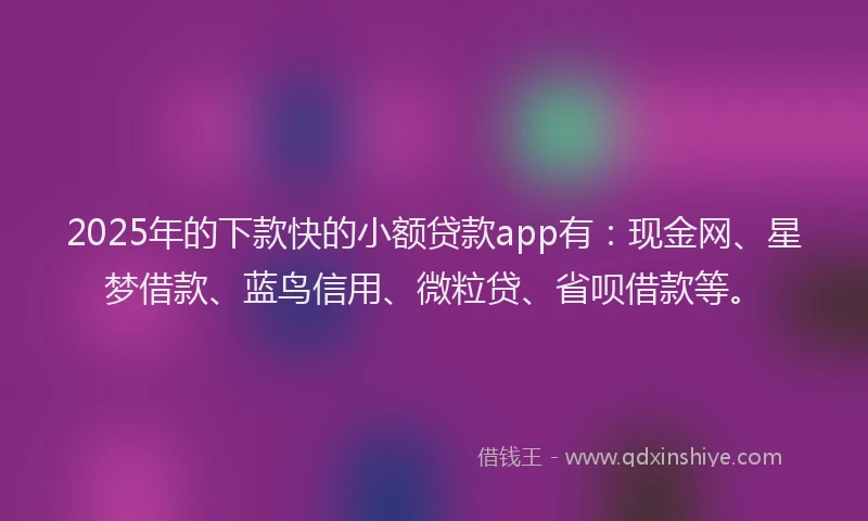 2025年的下款快的小额贷款app有：现金网、星梦借款、蓝鸟信用、微粒贷、省呗借款等。