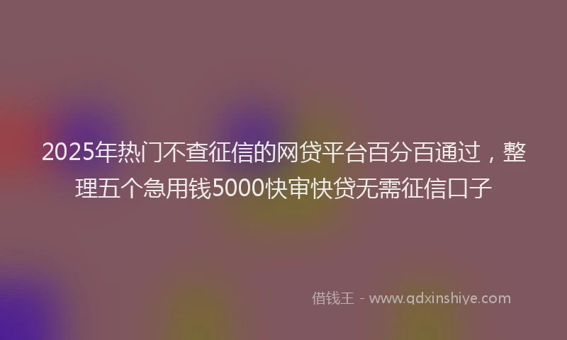 2025年热门不查征信的网贷平台百分百通过，整理五个急用钱5000快审快贷无需征信口子