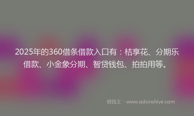 2025年的360借条借款入口有：桔享花、分期乐借款、小金象分期、智贷钱包、拍拍用等。