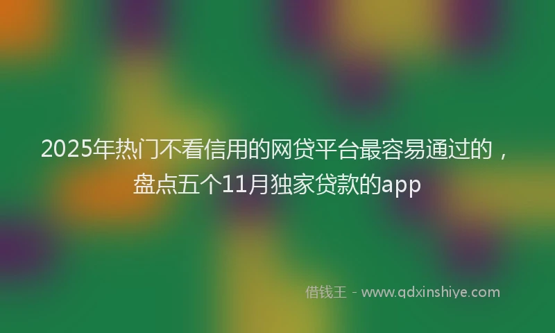 2025年热门不看信用的网贷平台最容易通过的，盘点五个11月独家贷款的app