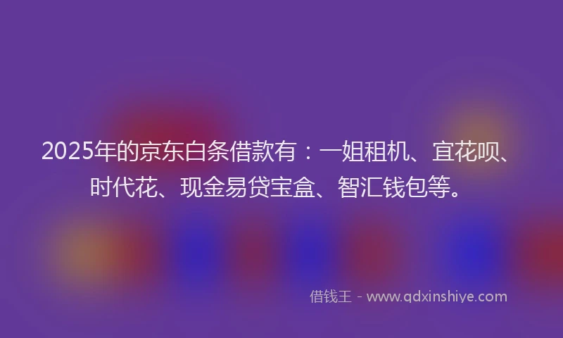 2025年的京东白条借款有：一姐租机、宜花呗、时代花、现金易贷宝盒、智汇钱包等。