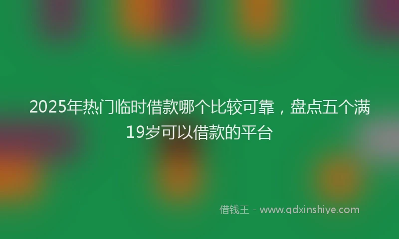 2025年热门临时借款哪个比较可靠，盘点五个满19岁可以借款的平台