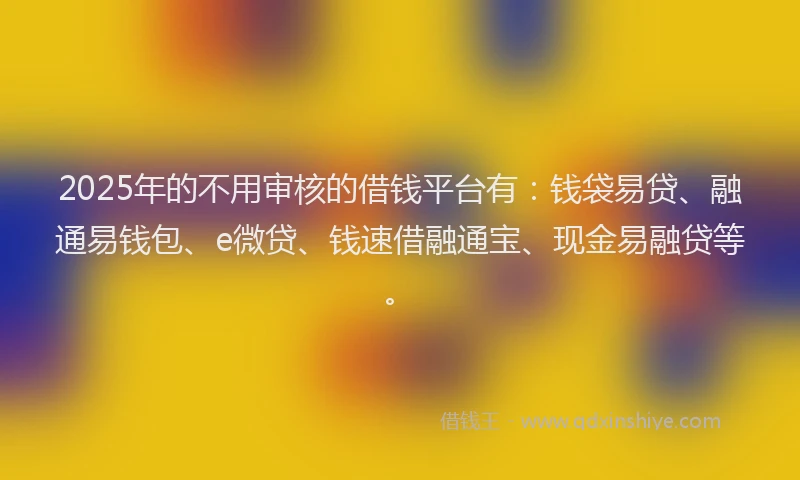 2025年的不用审核的借钱平台有：钱袋易贷、融通易钱包、e微贷、钱速借融通宝、现金易融贷等。