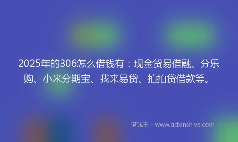 2025年的306怎么借钱有：现金贷易借融、分乐购、小米分期宝、我来易贷、拍拍贷借款等。