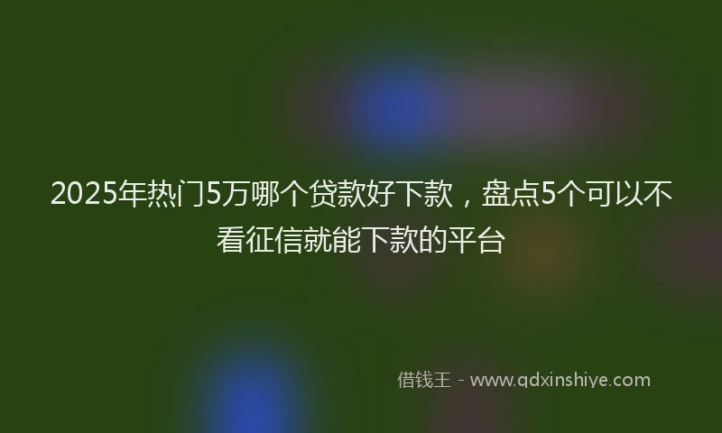 2025年热门5万哪个贷款好下款，盘点5个可以不看征信就能下款的平台