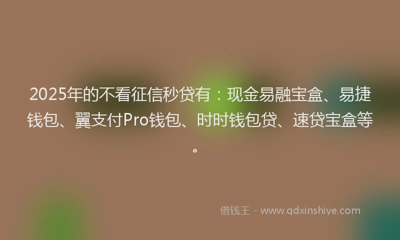 2025年的不看征信秒贷有：现金易融宝盒、易捷钱包、翼支付Pro钱包、时时钱包贷、速贷宝盒等。