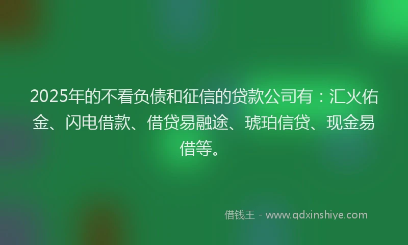 2025年的不看负债和征信的贷款公司有：汇火佑金、闪电借款、借贷易融途、琥珀信贷、现金易借等。
