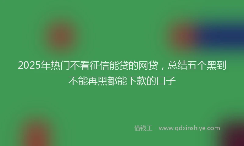 2025年热门不看征信能贷的网贷，总结五个黑到不能再黑都能下款的口子